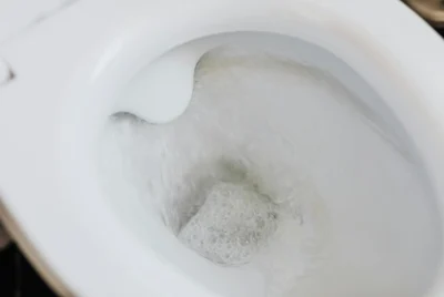 Flushed down the toilet