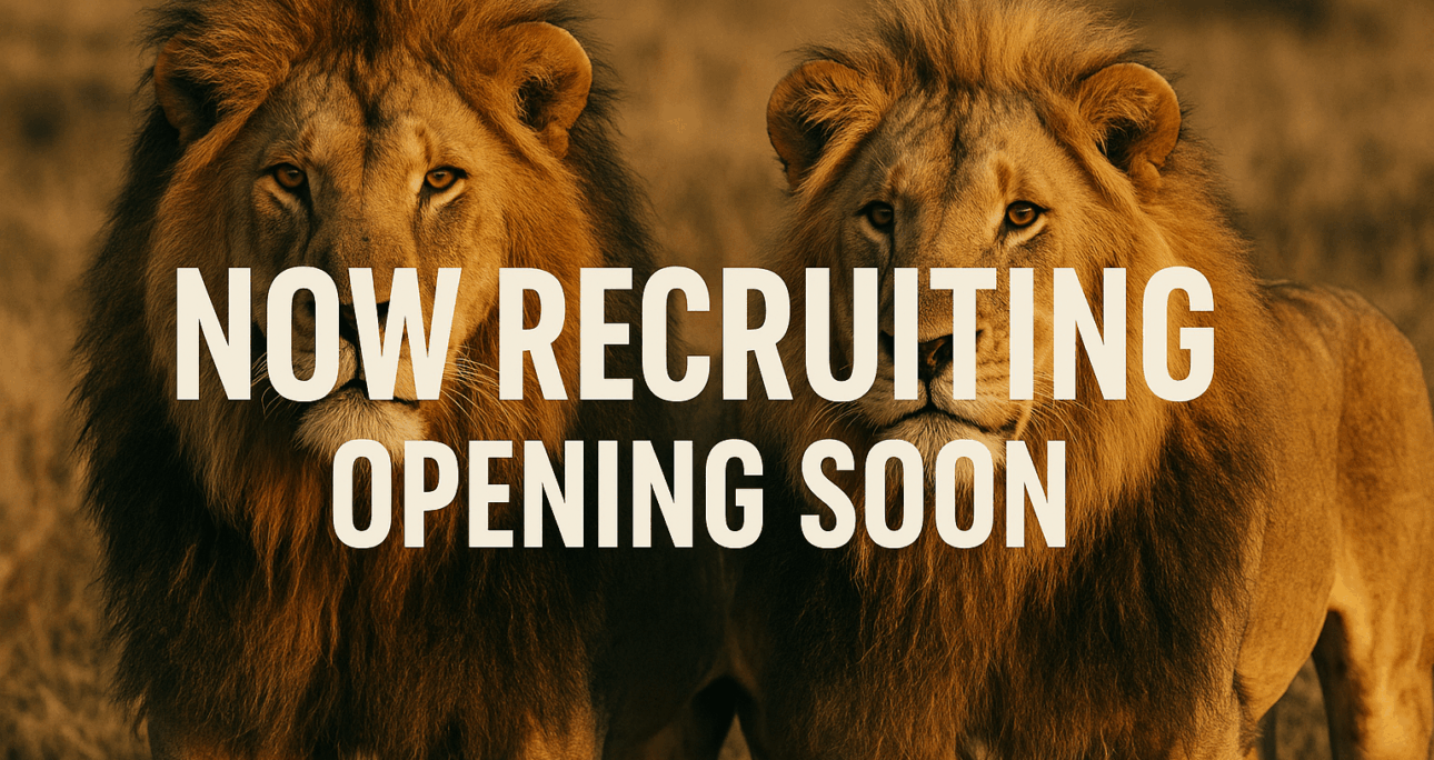 Join the Steve Lions Escorts Team: Where Charm Meets Support