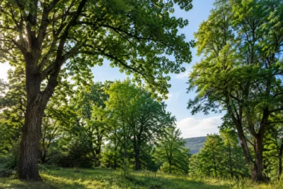 From Companionship to Conservation: Building a Business That Gives Back